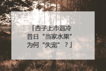 杏子上市遇冷 昔日“当家水果”为何“失宠”？