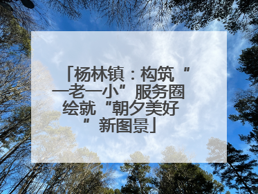 杨林镇：构筑“一老一小”服务圈 绘就“朝夕美好”新图景