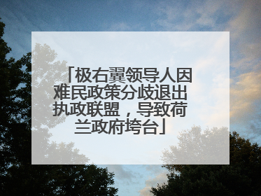 极右翼领导人因难民政策分歧退出执政联盟，导致荷兰政府垮台