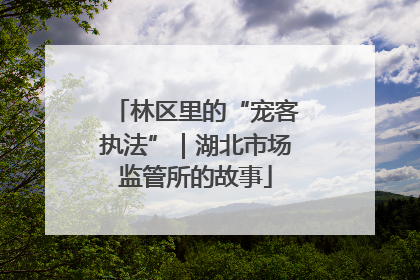 林区里的“宠客执法”｜湖北市场监管所的故事