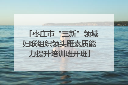 枣庄市“三新”领域妇联组织领头雁素质能力提升培训班开班