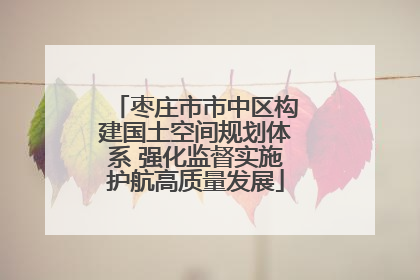 枣庄市市中区构建国土空间规划体系 强化监督实施护航高质量发展
