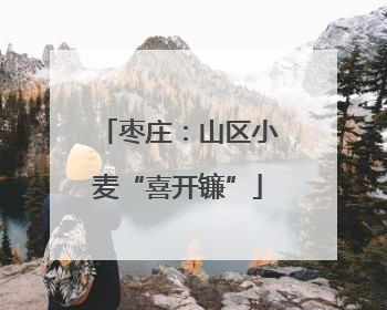 枣庄：山区小麦“喜开镰”