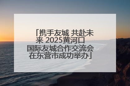 携手友城 共赴未来 2025黄河口国际友城合作交流会在东营市成功举办