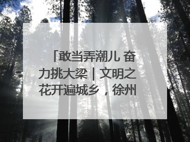 敢当弄潮儿 奋力挑大梁｜文明之花开遍城乡，徐州以昂扬风貌冲刺“万亿之城”