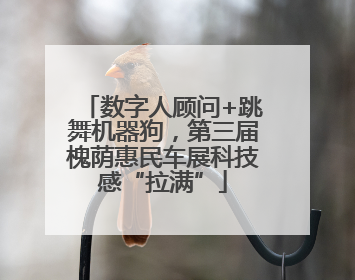 数字人顾问+跳舞机器狗，第三届槐荫惠民车展科技感“拉满”