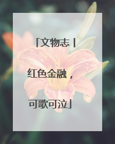 文物志丨红色金融，可歌可泣