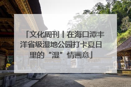 文化周刊丨在海口潭丰洋省级湿地公园打卡夏日里的“湿”情画意
