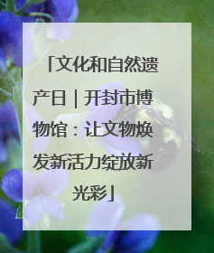 文化和自然遗产日｜开封市博物馆：让文物焕发新活力绽放新光彩