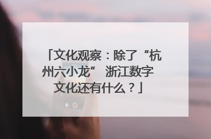 文化观察：除了“杭州六小龙” 浙江数字文化还有什么？
