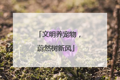 文明养宠物，蔚然树新风