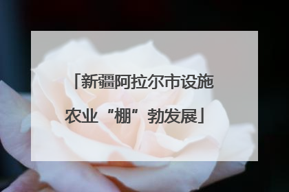 新疆阿拉尔市设施农业“棚”勃发展