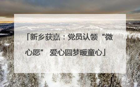 新乡获嘉：党员认领“微心愿” 爱心圆梦暖童心