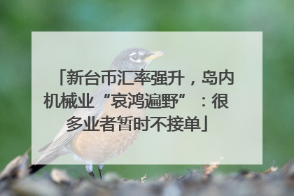 新台币汇率强升，岛内机械业“哀鸿遍野”：很多业者暂时不接单