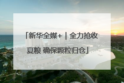新华全媒+｜全力抢收夏粮 确保颗粒归仓