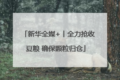 新华全媒+丨全力抢收夏粮 确保颗粒归仓