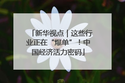 新华视点｜这些行业正在“爆单”！中国经济活力密码