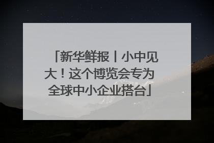 新华鲜报丨小中见大！这个博览会专为全球中小企业搭台