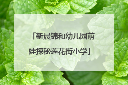 新晨锦和幼儿园萌娃探秘莲花街小学