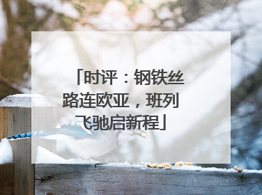 时评：钢铁丝路连欧亚，班列飞驰启新程