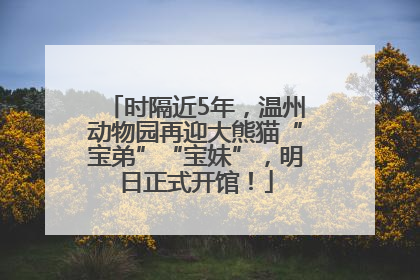 时隔近5年，温州动物园再迎大熊猫“宝弟”“宝妹”，明日正式开馆！