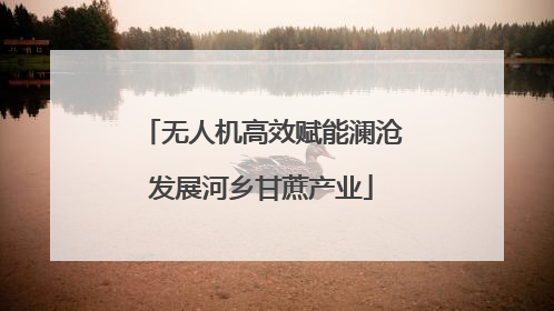 无人机高效赋能澜沧发展河乡甘蔗产业