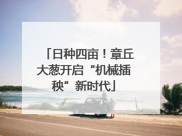 日种四亩！章丘大葱开启“机械插秧”新时代