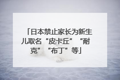 日本禁止家长为新生儿取名“皮卡丘”“耐克”“布丁”等