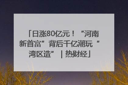 日涨80亿元！“河南新首富”背后千亿潮玩“湾区造”｜热财经
