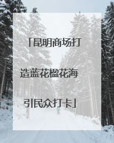 昆明商场打造蓝花楹花海引民众打卡