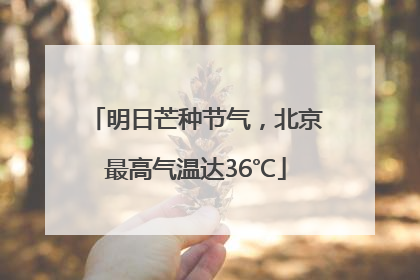 明日芒种节气，北京最高气温达36℃