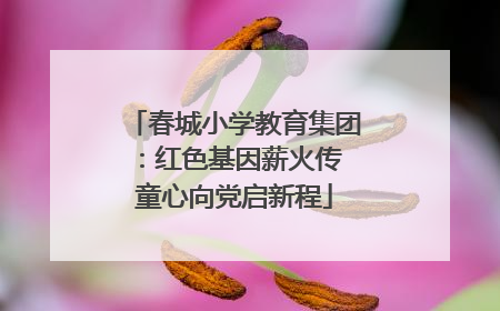 春城小学教育集团：红色基因薪火传 童心向党启新程