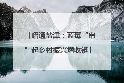 昭通盐津：蓝莓“串”起乡村振兴增收链