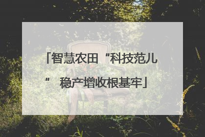智慧农田“科技范儿” 稳产增收根基牢