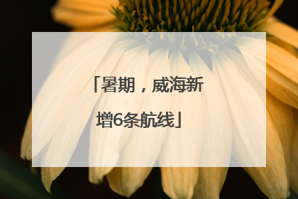 暑期，威海新增6条航线