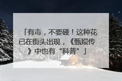 有毒，不要碰！这种花已在街头出现，《甄嬛传》中也有“科普”