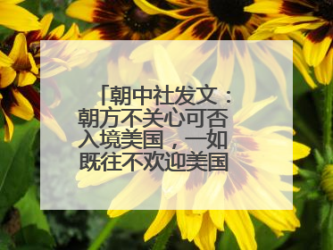 朝中社发文：朝方不关心可否入境美国，一如既往不欢迎美国人入境朝鲜