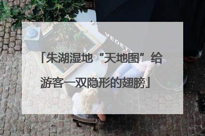 朱湖湿地“天地图”给游客一双隐形的翅膀