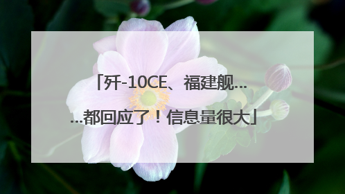 歼-10CE、福建舰……都回应了！信息量很大