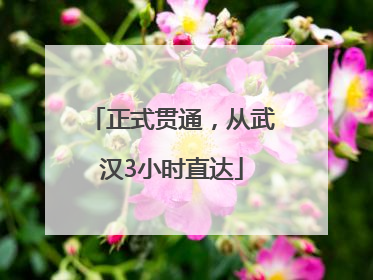 正式贯通，从武汉3小时直达