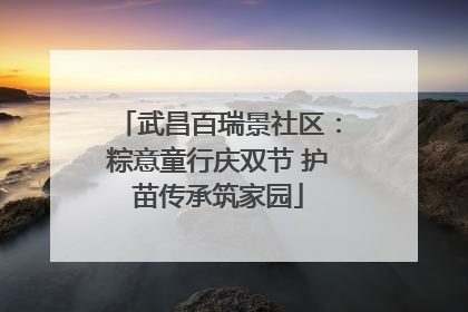 武昌百瑞景社区：粽意童行庆双节 护苗传承筑家园