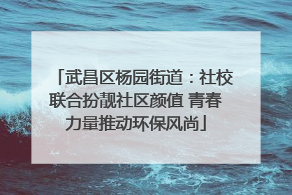 武昌区杨园街道：社校联合扮靓社区颜值 青春力量推动环保风尚