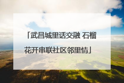 武昌城里话交融 石榴花开串联社区邻里情