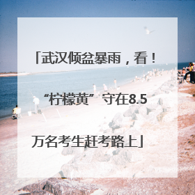 武汉倾盆暴雨，看！“柠檬黄”守在8.5万名考生赶考路上