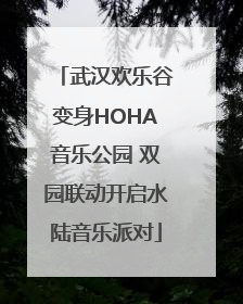 武汉欢乐谷变身HOHA音乐公园 双园联动开启水陆音乐派对
