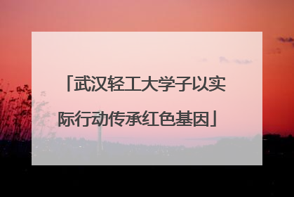 武汉轻工大学子以实际行动传承红色基因