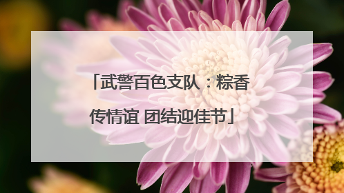 武警百色支队：粽香传情谊 团结迎佳节