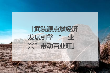 武陵源点燃经济发展引擎 “一业兴”带动百业旺