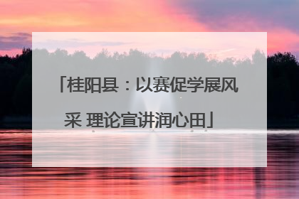 桂阳县：以赛促学展风采 理论宣讲润心田