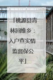 桃源县青林回维乡：入户查实情 监督保公平